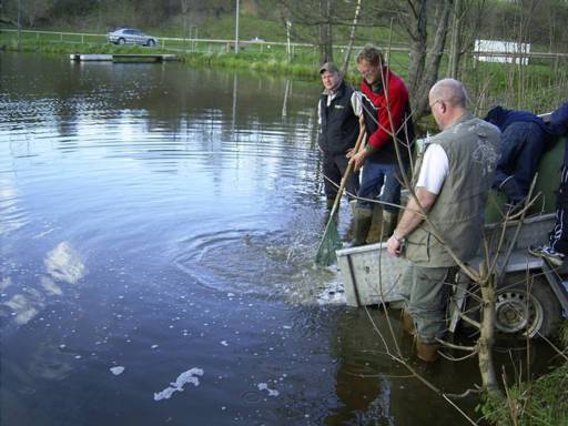 Besatz Schollenteich