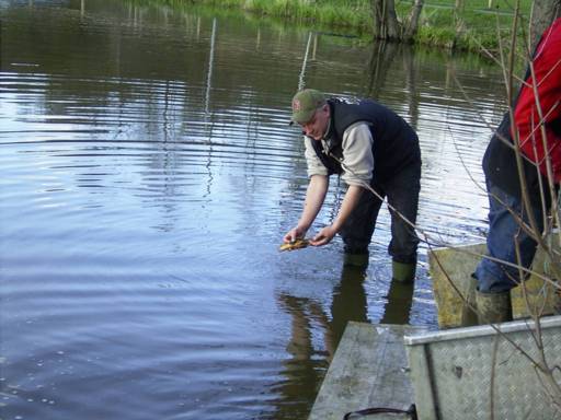 Besatz Schollenteich