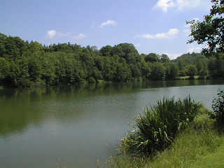 Der Lettenbachsee